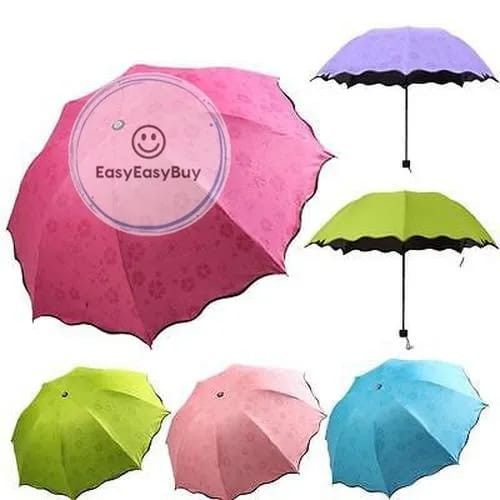Umbrella